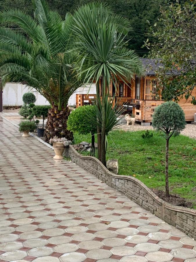 Olginka Villa Gagra Esterno foto