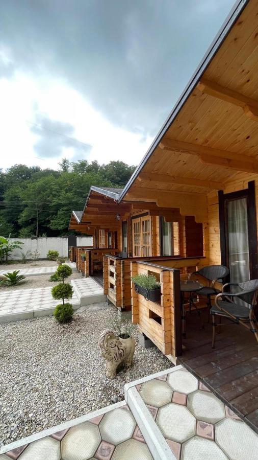 Olginka Villa Gagra Esterno foto