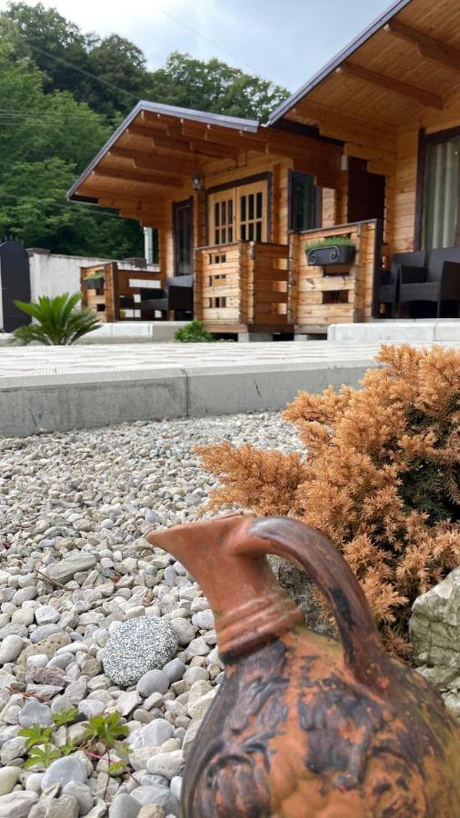 Olginka Villa Gagra Esterno foto