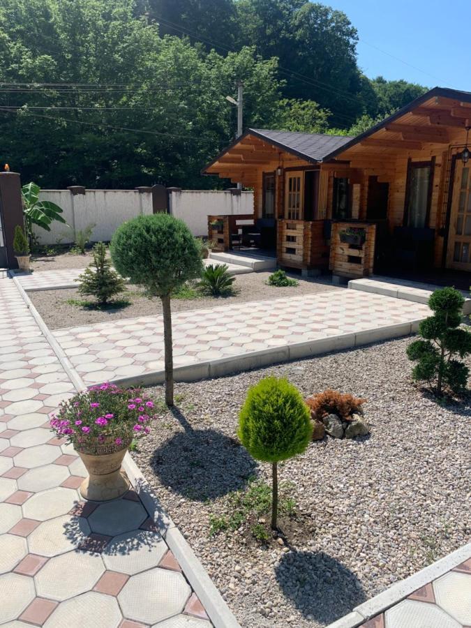 Olginka Villa Gagra Esterno foto
